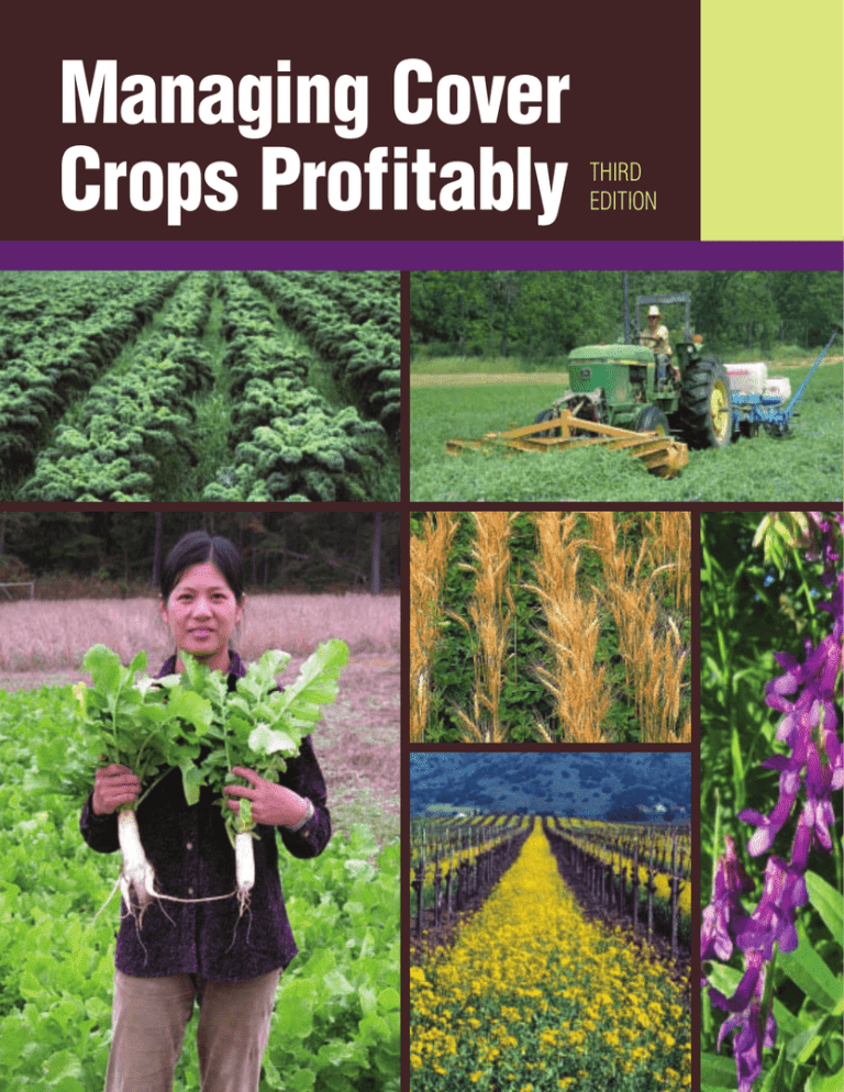 USDA SARE: Managing Cover Crops Profitably USDA SARE: Managing Cover Crops Profitably