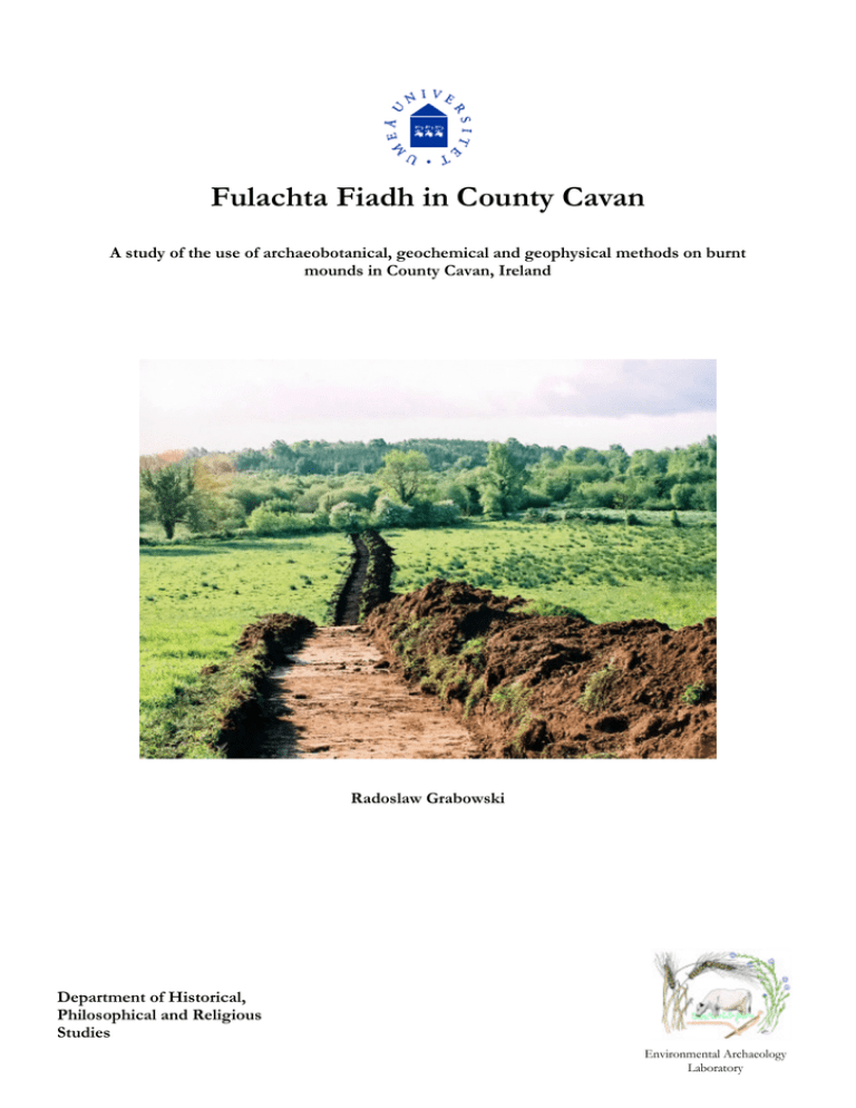 Fulachta Fiadh in County Cavan Fulachta Fiadh in County Cavan
