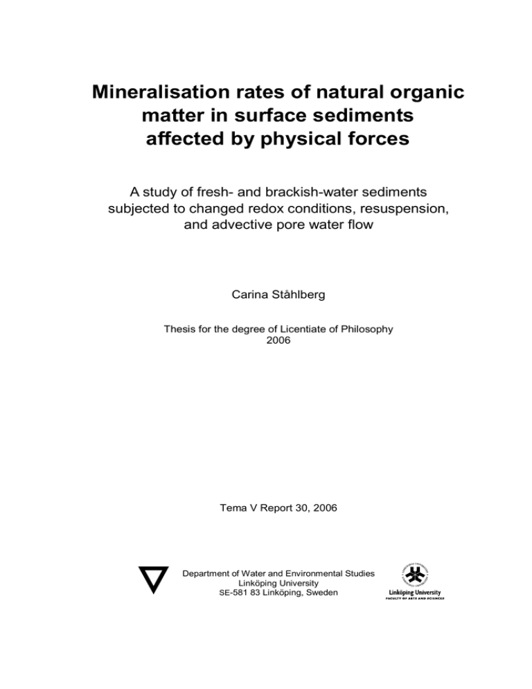 Mineralisation rates of natural organic matter in surface sediments Mineralisation rates of natural organic matter in surface sediments