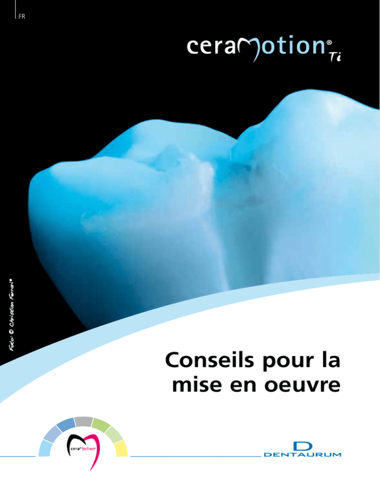 Conseils pour la mise en oeuvre FR Conseils pour la mise en oeuvre FR