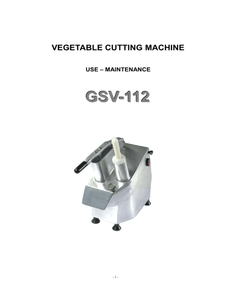 G S V - G S V -