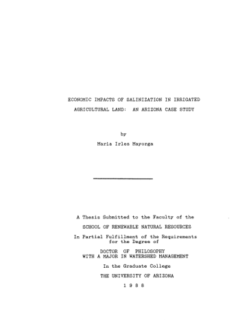 IMPACTS OF SALINIZATION IN LAND: AN ARIZONA CASE Maria Irles A IMPACTS OF SALINIZATION IN LAND: AN ARIZONA CASE Maria Irles A