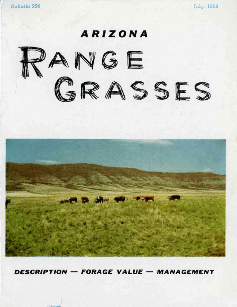ARIZONA DESCRIPTION - FORAGE VALUE - MANAGEMENT Bulletin 298 July, 1953 ARIZONA DESCRIPTION - FORAGE VALUE - MANAGEMENT Bulletin 298 July, 1953