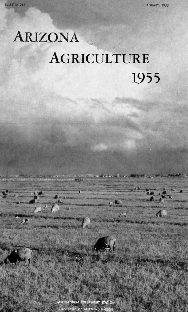 ARIZONA AGRICULTURE 1955 , ARIZONA AGRICULTURE 1955 ,