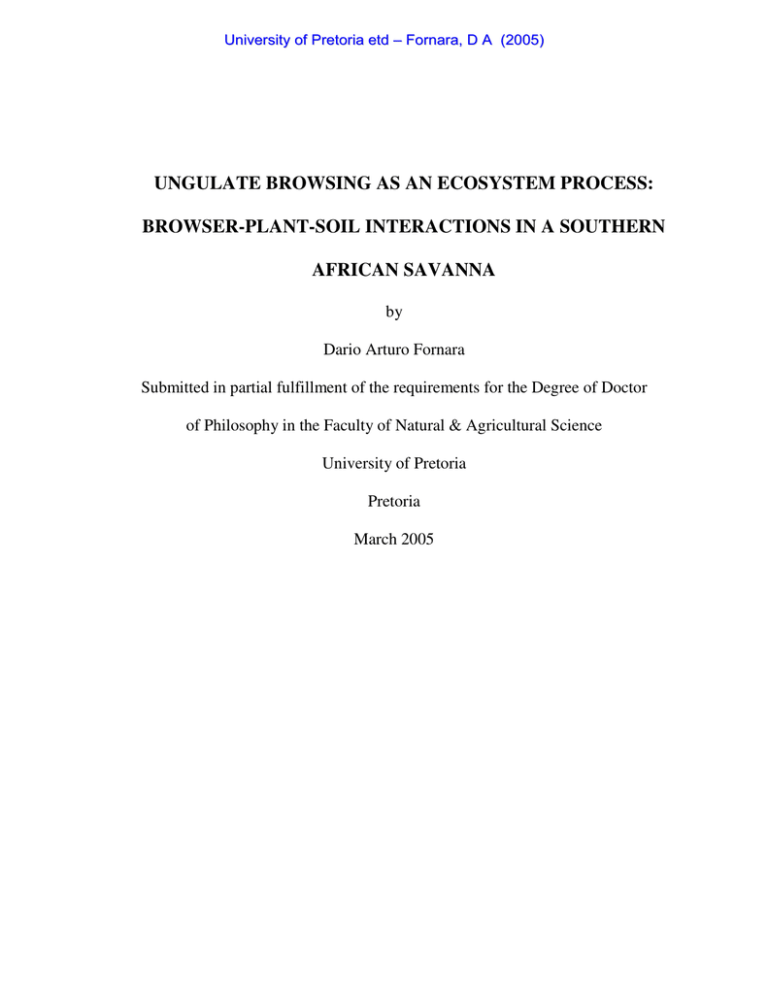 UNGULATE BROWSING AS AN ECOSYSTEM PROCESS: BROWSER-PLANT-SOIL INTERACTIONS IN A SOUTHERN UNGULATE BROWSING AS AN ECOSYSTEM PROCESS: BROWSER-PLANT-SOIL INTERACTIONS IN A SOUTHERN