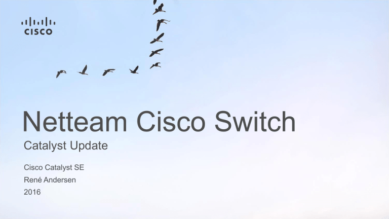 Netteam Cisco Switch Netteam Cisco Switch
