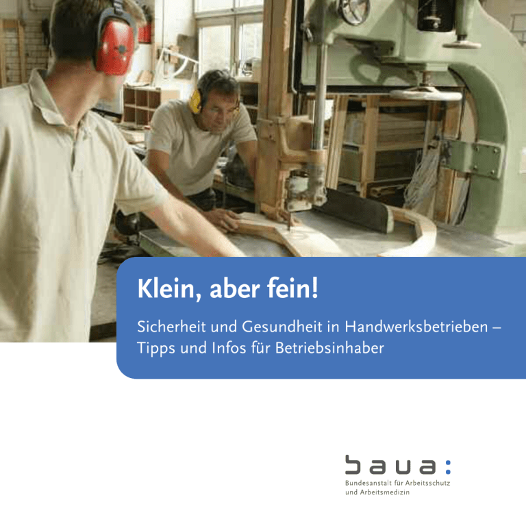 Sicherheit und Gesundheit in Handwerksbetrieben Sicherheit und Gesundheit in Handwerksbetrieben