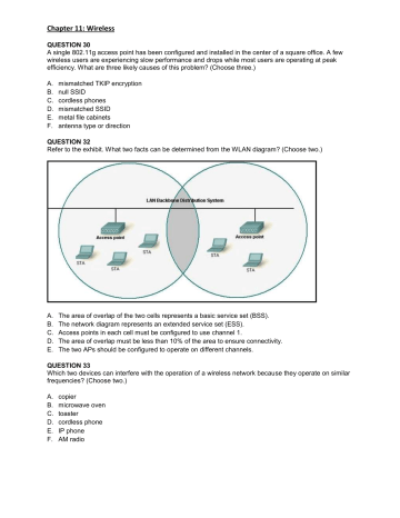 Chapter 11: Wireless - LAN/WAN Professional Chapter 11: Wireless - LAN/WAN Professional