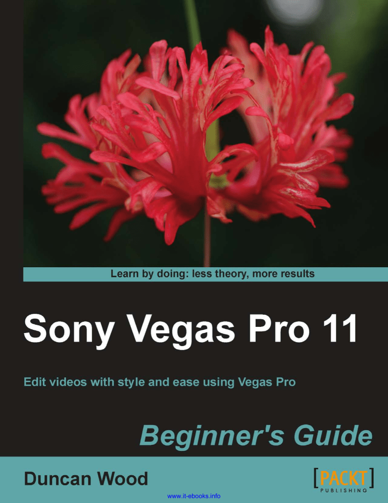 Sony Vegas Pro 11 Sony Vegas Pro 11