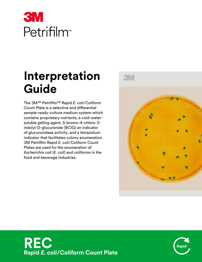 3M Petrifilm™ Rapid E. coli/Coliform Count Plates Operating instructions 3M Petrifilm™ Rapid E. coli/Coliform Count Plates Operating instructions
