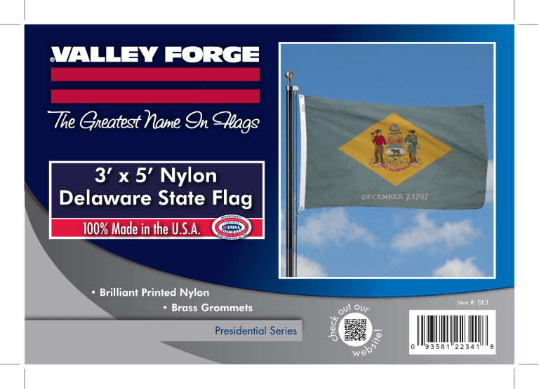 Valley Forge Flag DE3 Installation guide Valley Forge Flag DE3 Installation guide