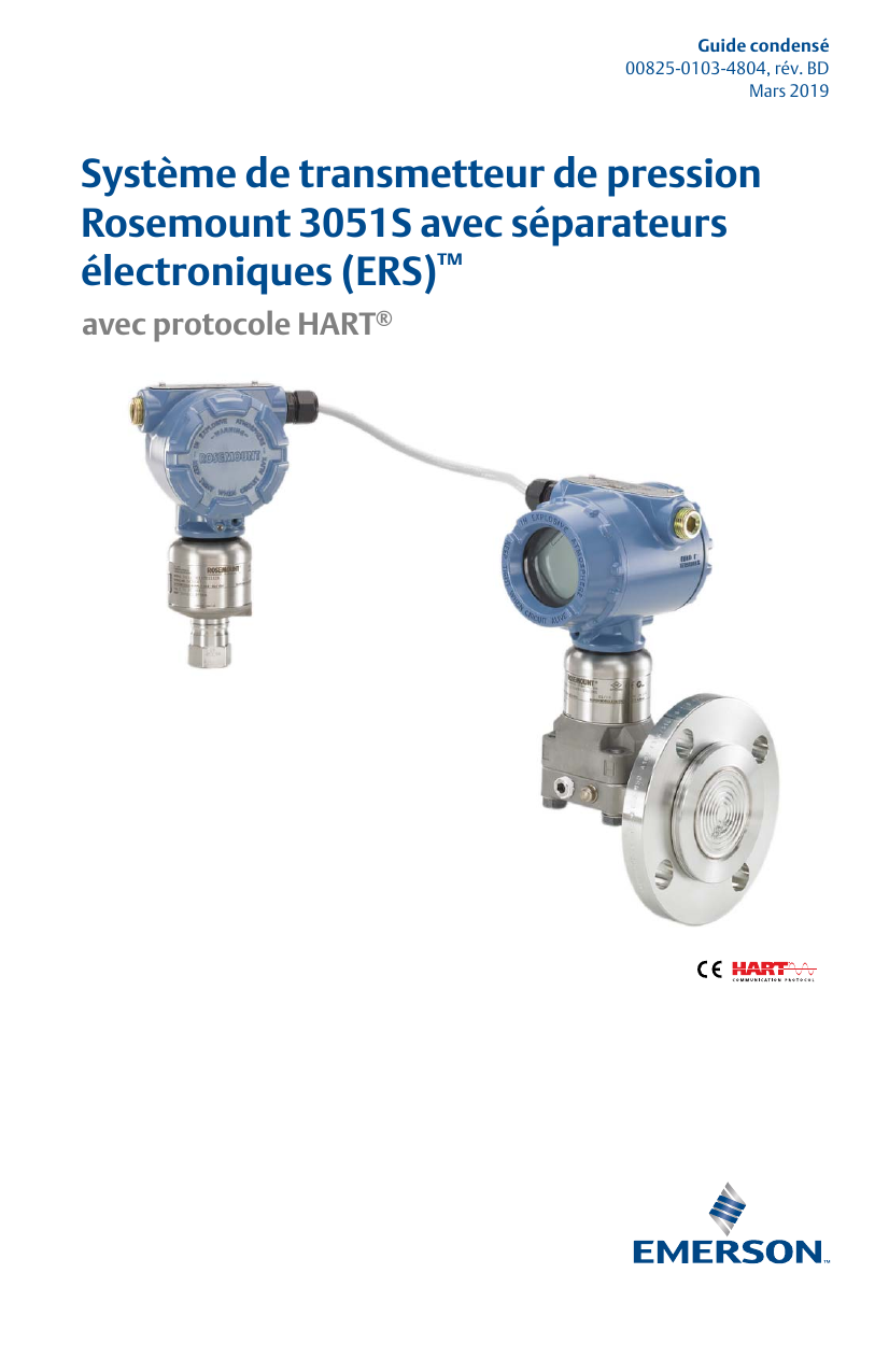 Rosemount 3051S Système de transmetteur de pression avec séparateurs