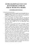 Guida razionale sui cavi di interesse comune per il musicista medio