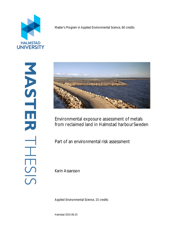 Thesis for master degree image