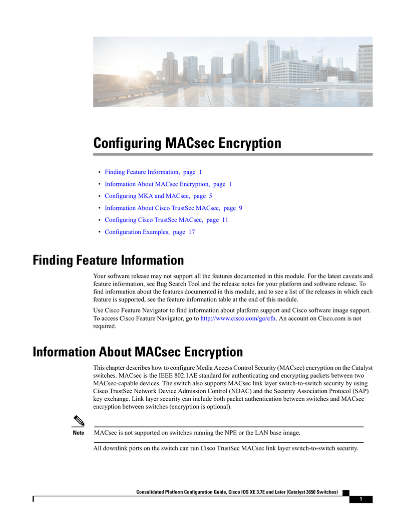 Configuring MACsec Encryption | Manualzz