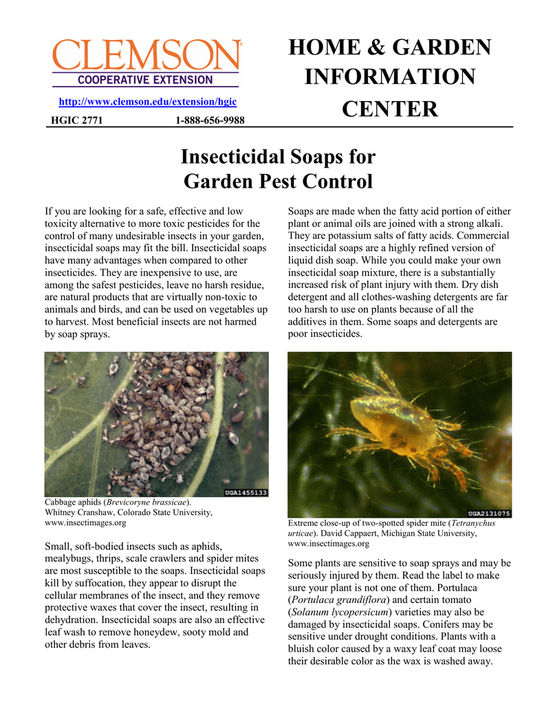 Label Ideas 2020: 35 Safer Insecticidal Soap Label