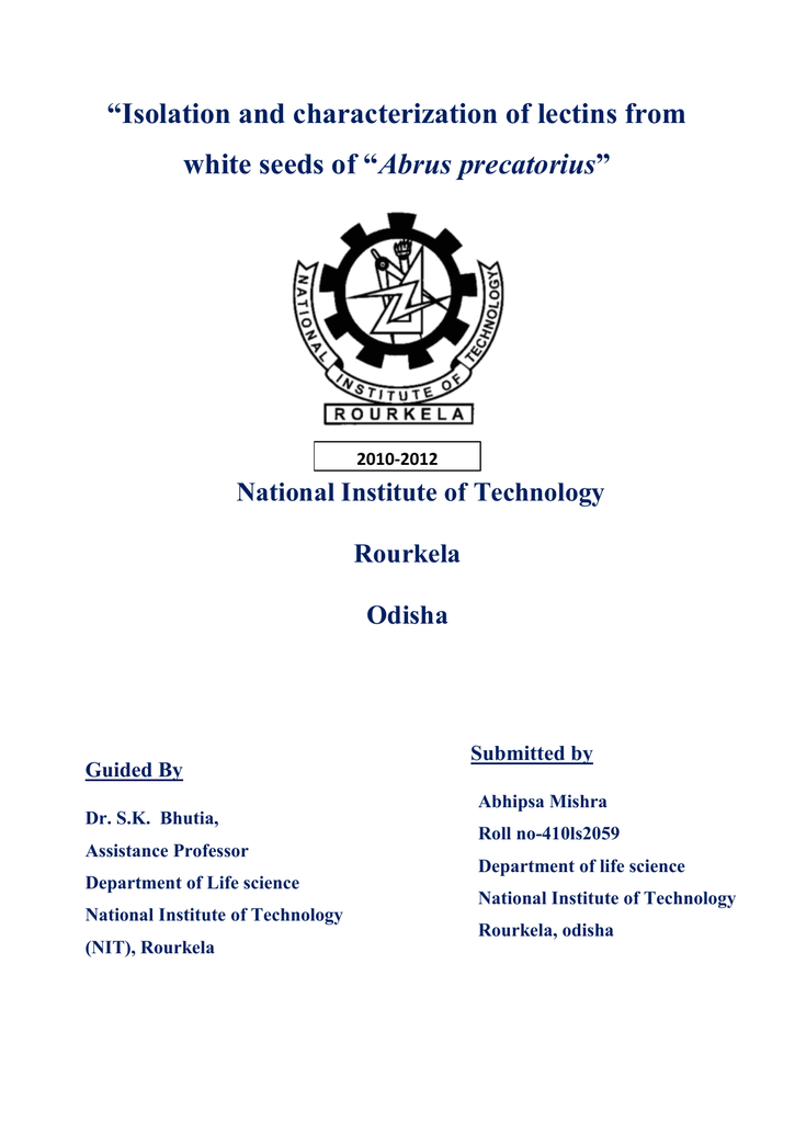 E thesis nit warangal image