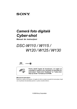 Sony cyber shot dsc w110 user manual