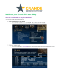 Grande TiVo Netflix Guide: AI Chat &amp; PDF Access