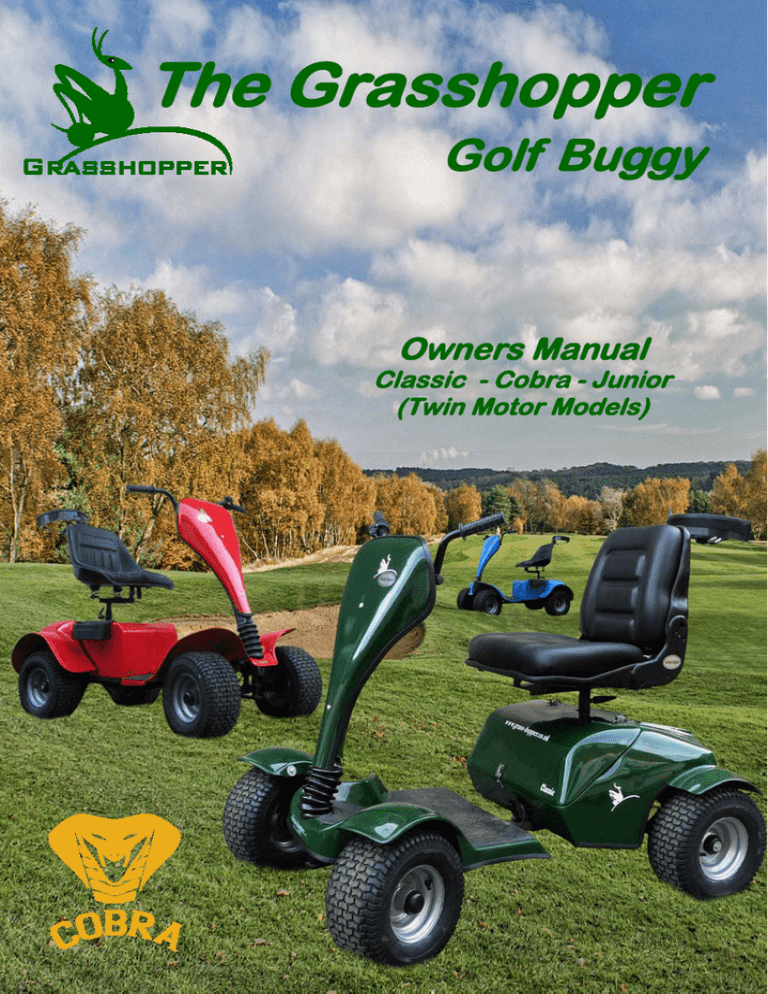 grasshopper classic golf buggy