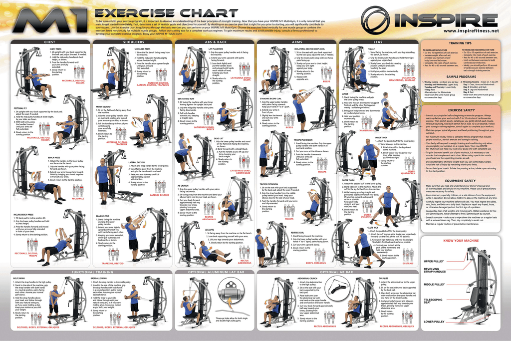 Home Gym Exercises Chart Pdf - Infoupdate.org