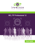 WS_FTP Professional 12 Tools Guide