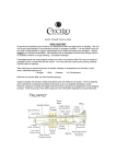 Cecilio Trumpet User Guide | AI Chat &amp; PDF Download
