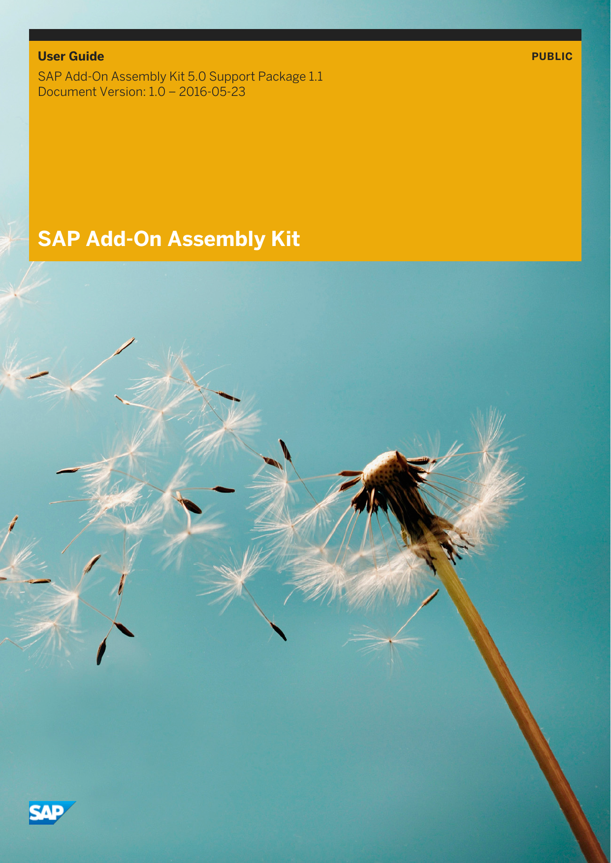 Sap Add On Assembly Kit Manualzz