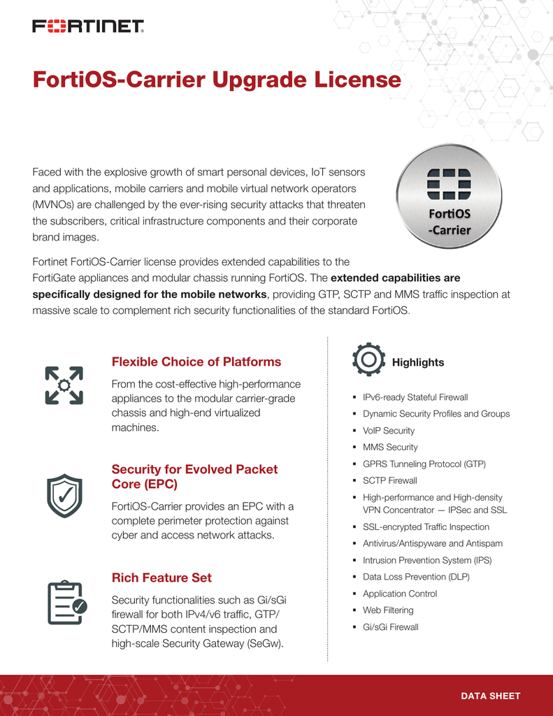 fortinet vpn concentrator