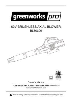 Greenworks bl60l00 store