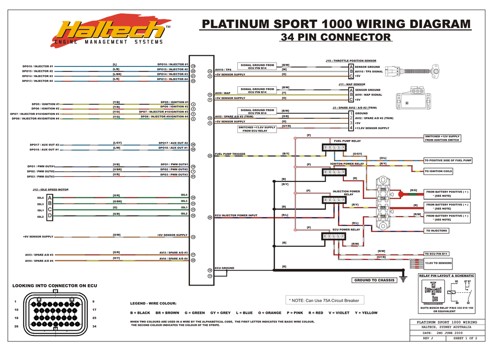 Platinum Sport 1000 Wiring Diagram