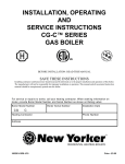 New Yorker CG Series Boiler Instructions: AI Chat &amp; PDF Access