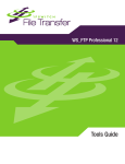 Ipswitch WS_FTP Professional 12 Tools Guide: AI Chat &amp; PDF Access