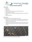 Interior Health Head Lice Instructions: AI Chat &amp; PDF