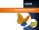 Butterfly Mouse Harness Instructions for Use