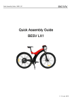 BESV LX1 Owner Manual