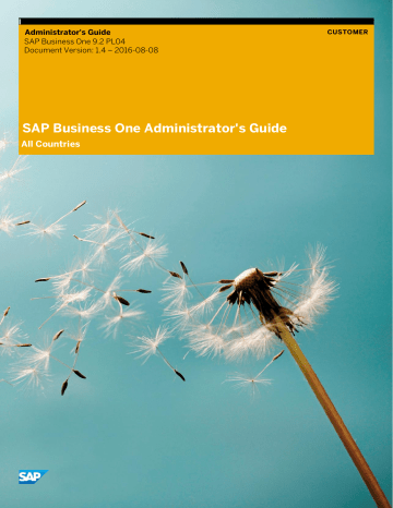 sap business one 2007 on virtual pc