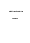Ritekon USB Flash Disk Utility User Manual: AI Chat