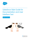 Salesforce Style Guide Summer &rsquo;17