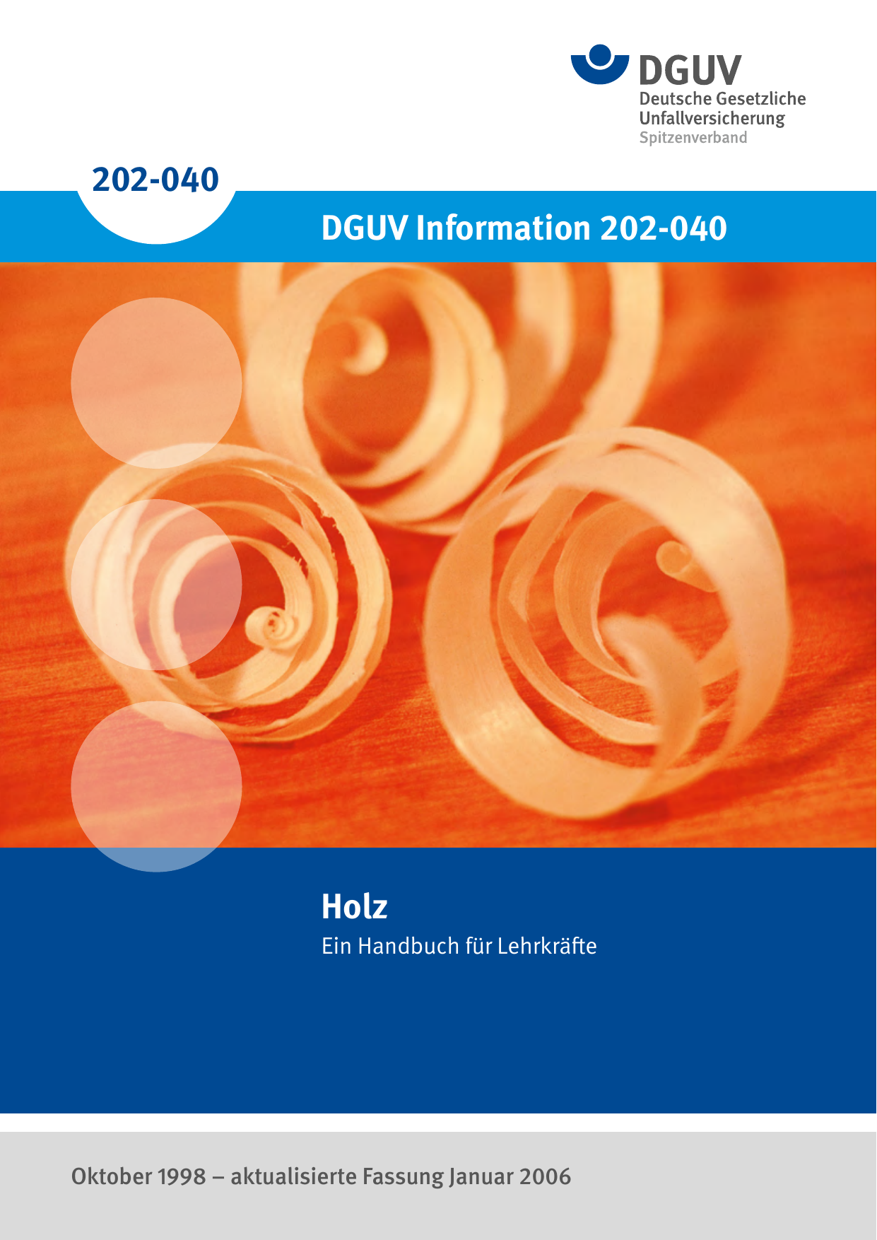 Dguv Information 202 040 Holz Manualzzcom