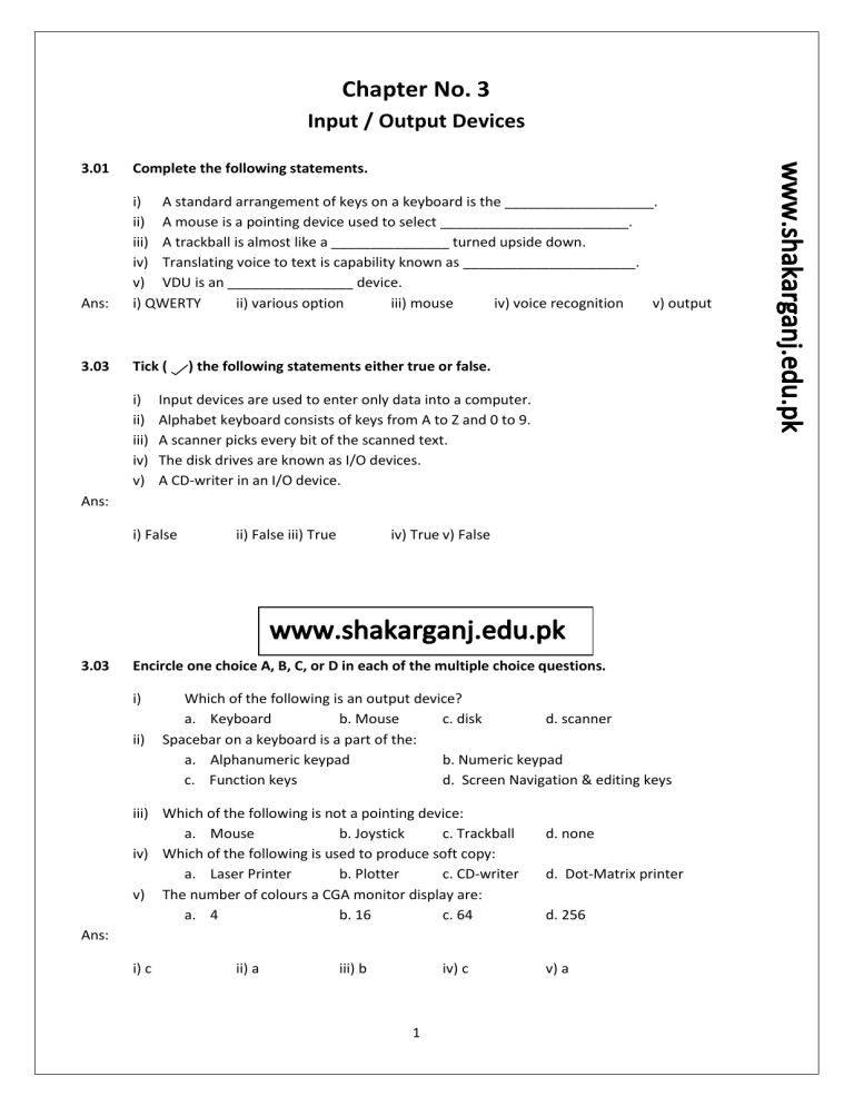is a dot matrix printer input or output