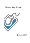 Wialon User Guide