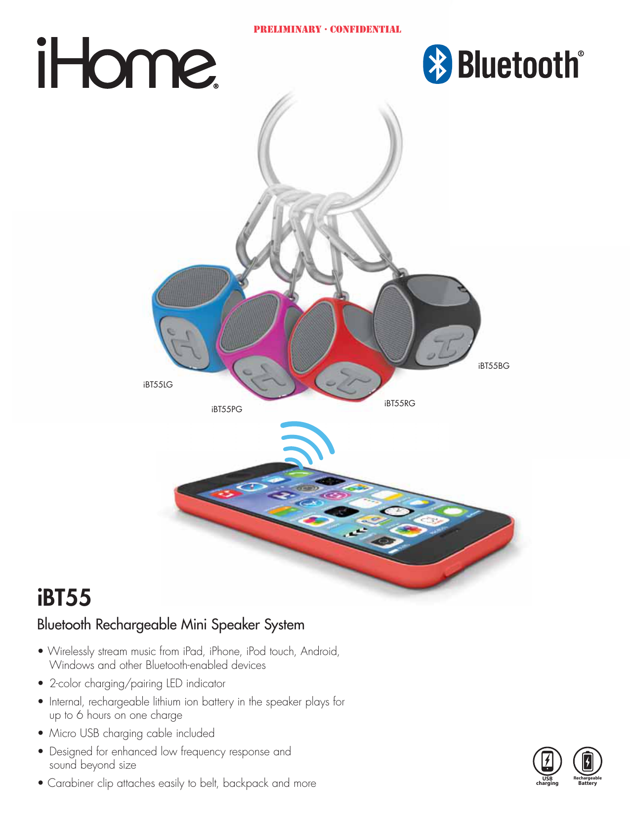ibt55