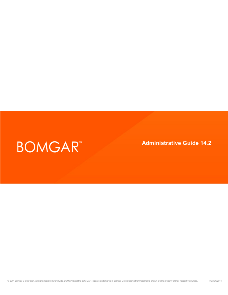 download bomgar representative client