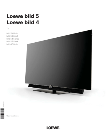 loewe bild 4 55