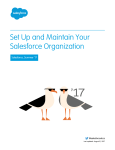 Salesforce User Manual - Summer '17