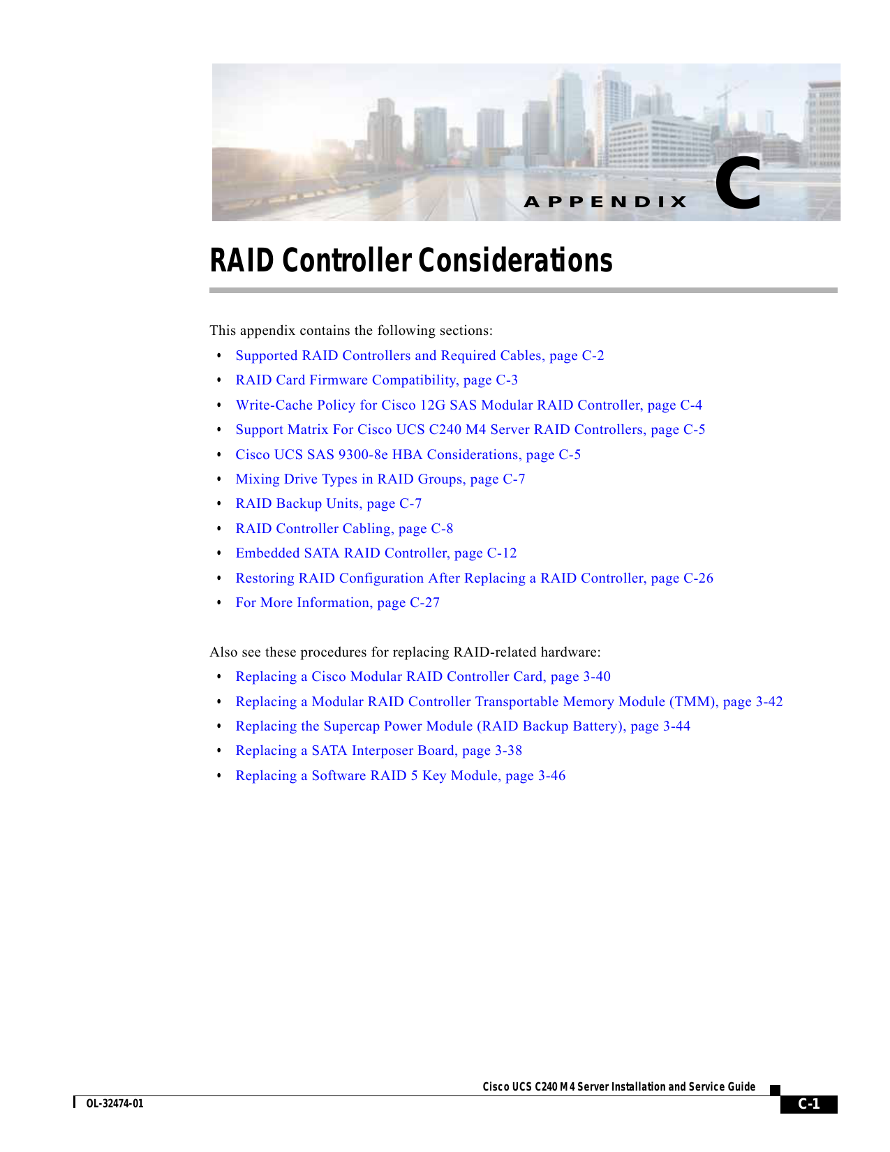 RAID Controller Manualzz