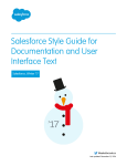 Salesforce Style Guide for Docs Winter '17 | AI Chat &amp; PDF