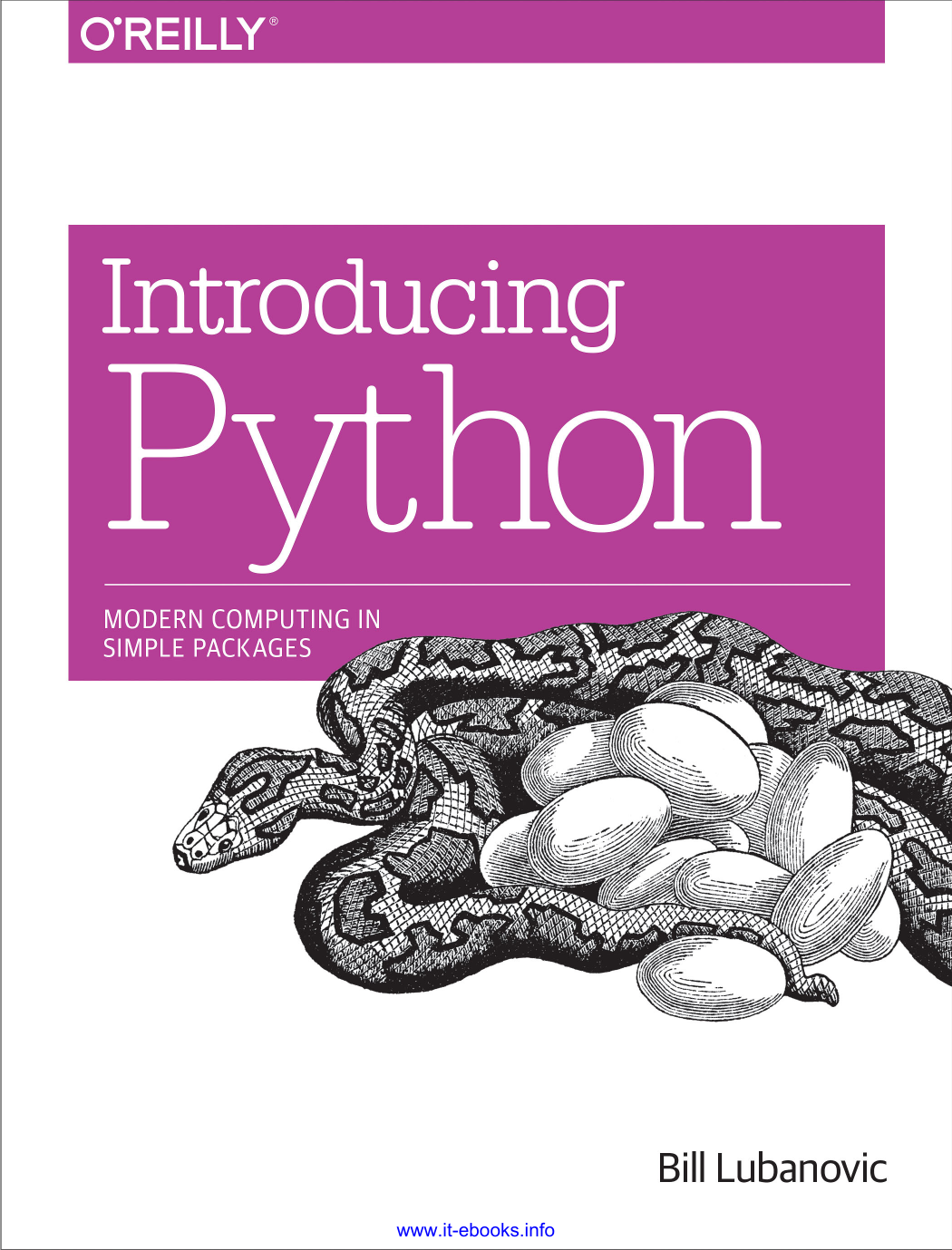 Introducing Python Manualzz