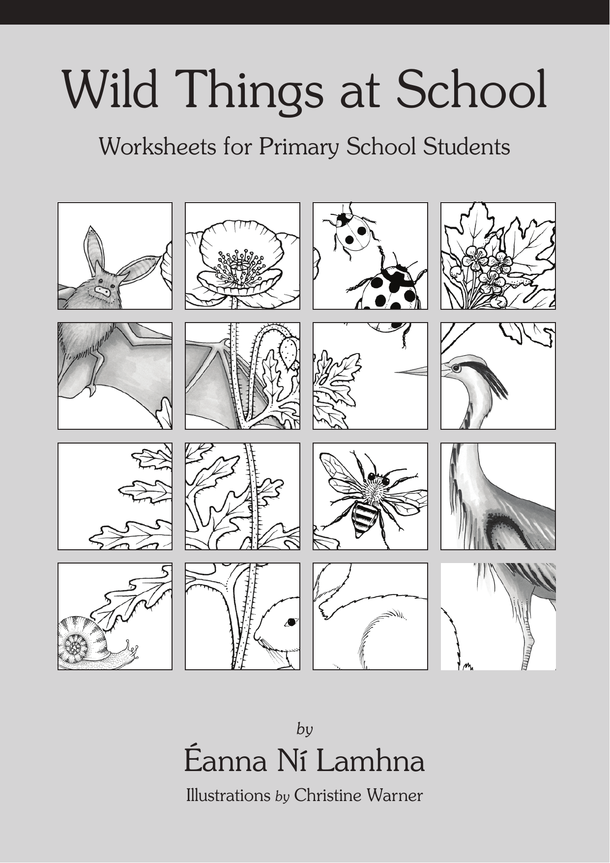 wild things pet store